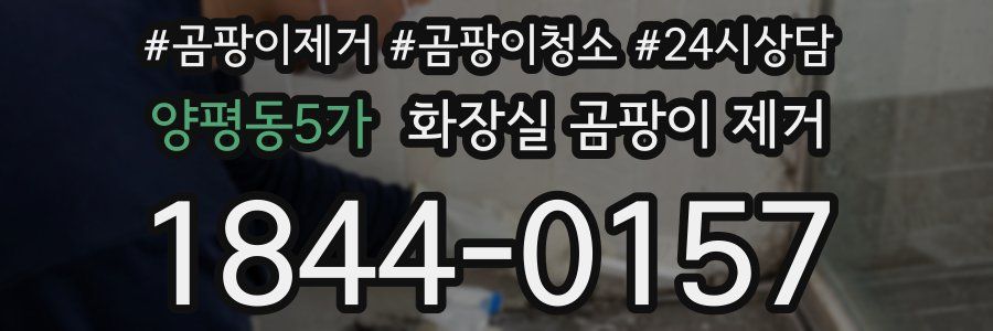 양평동5가 화장실 곰팡이 제거