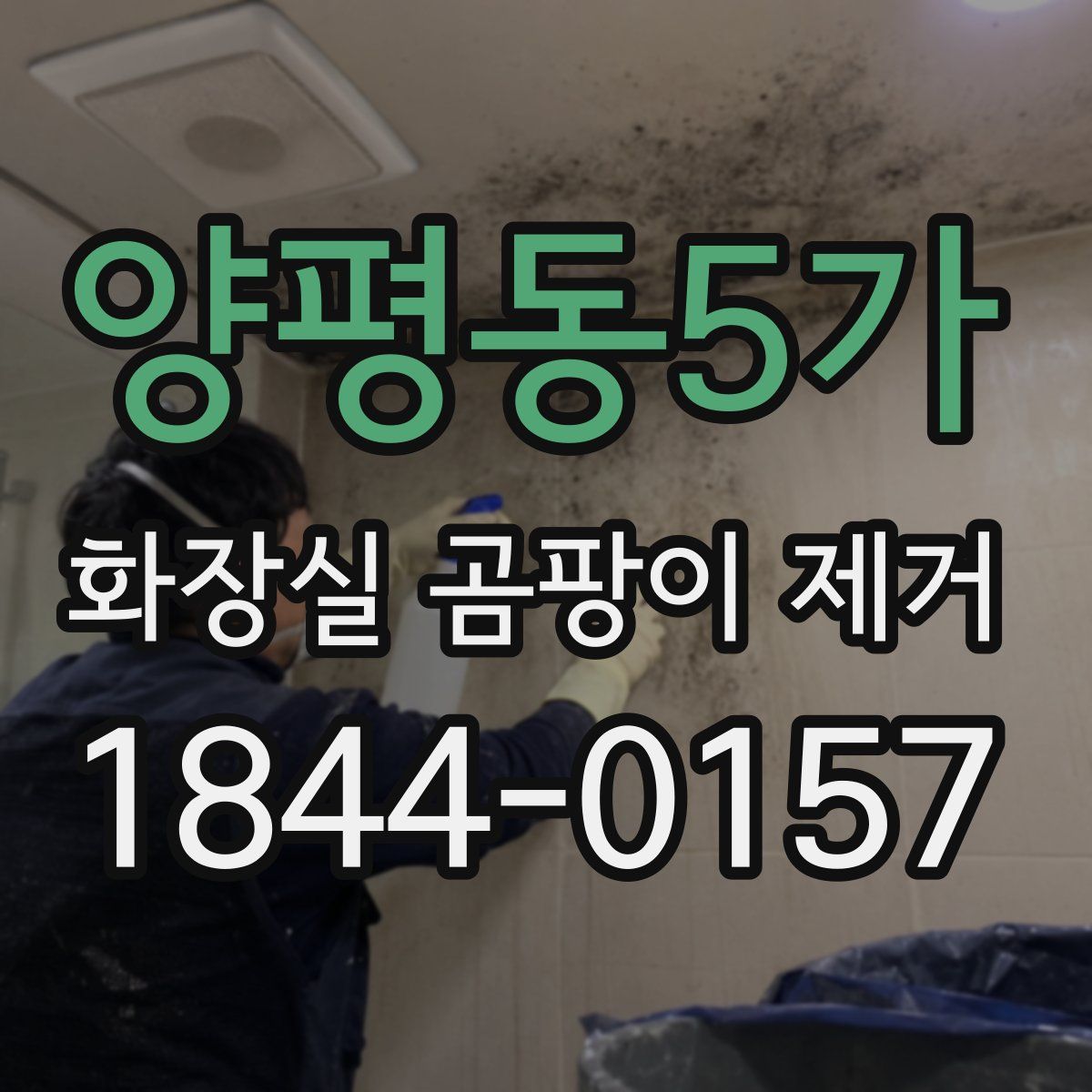 양평동5가 화장실 곰팡이 제거
