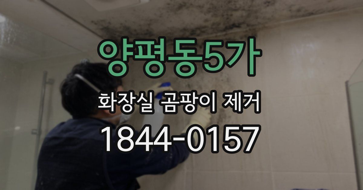 양평동5가 화장실 곰팡이 제거