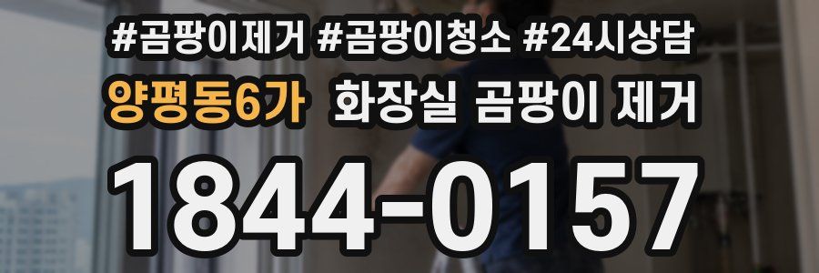 양평동6가 화장실 곰팡이 제거
