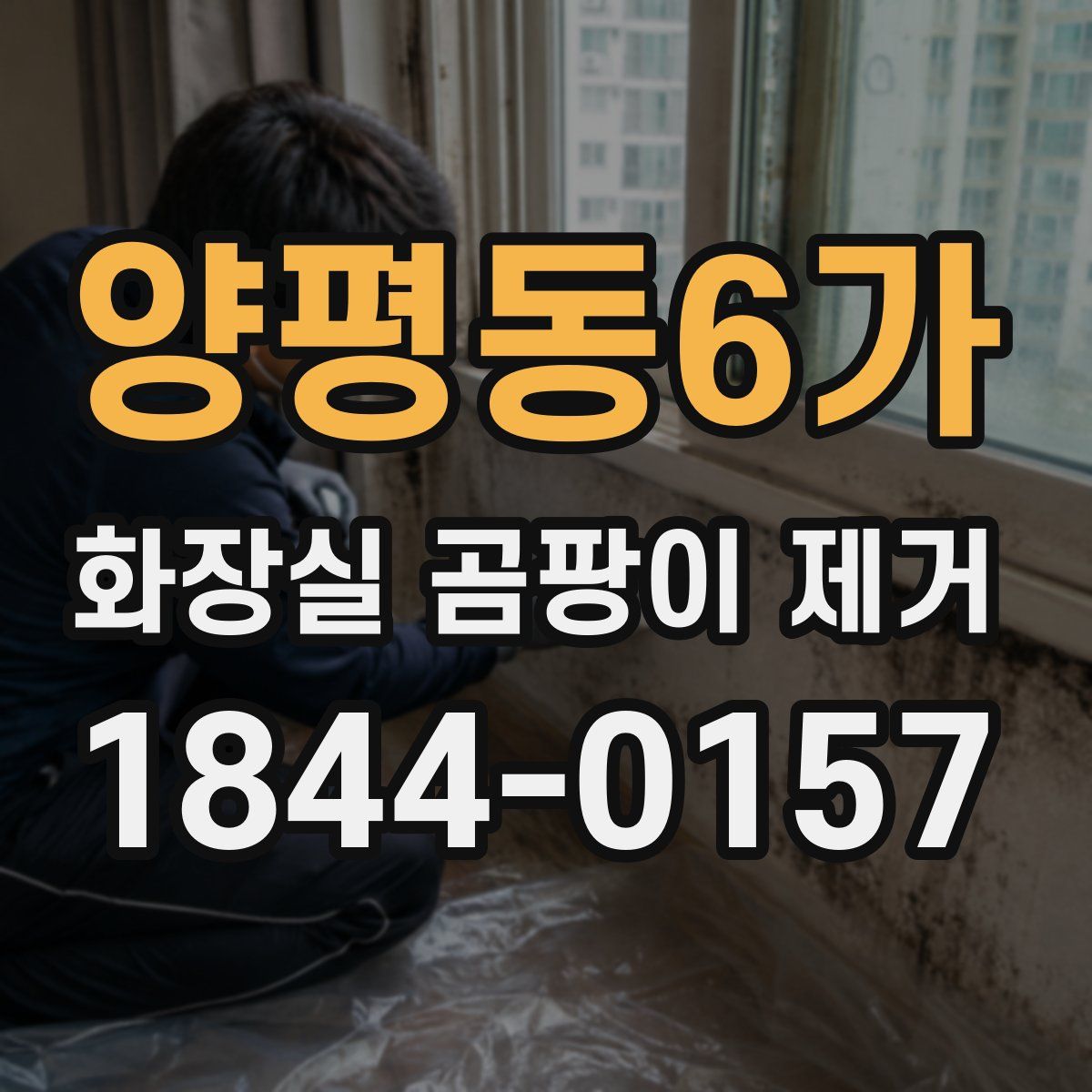 양평동6가 화장실 곰팡이 제거