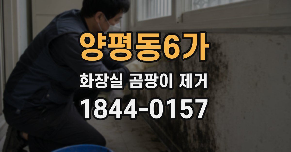 양평동6가 화장실 곰팡이 제거