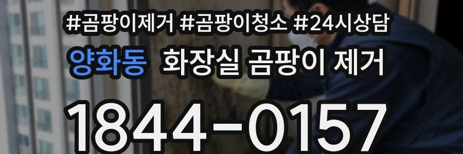 양화동 화장실 곰팡이 제거