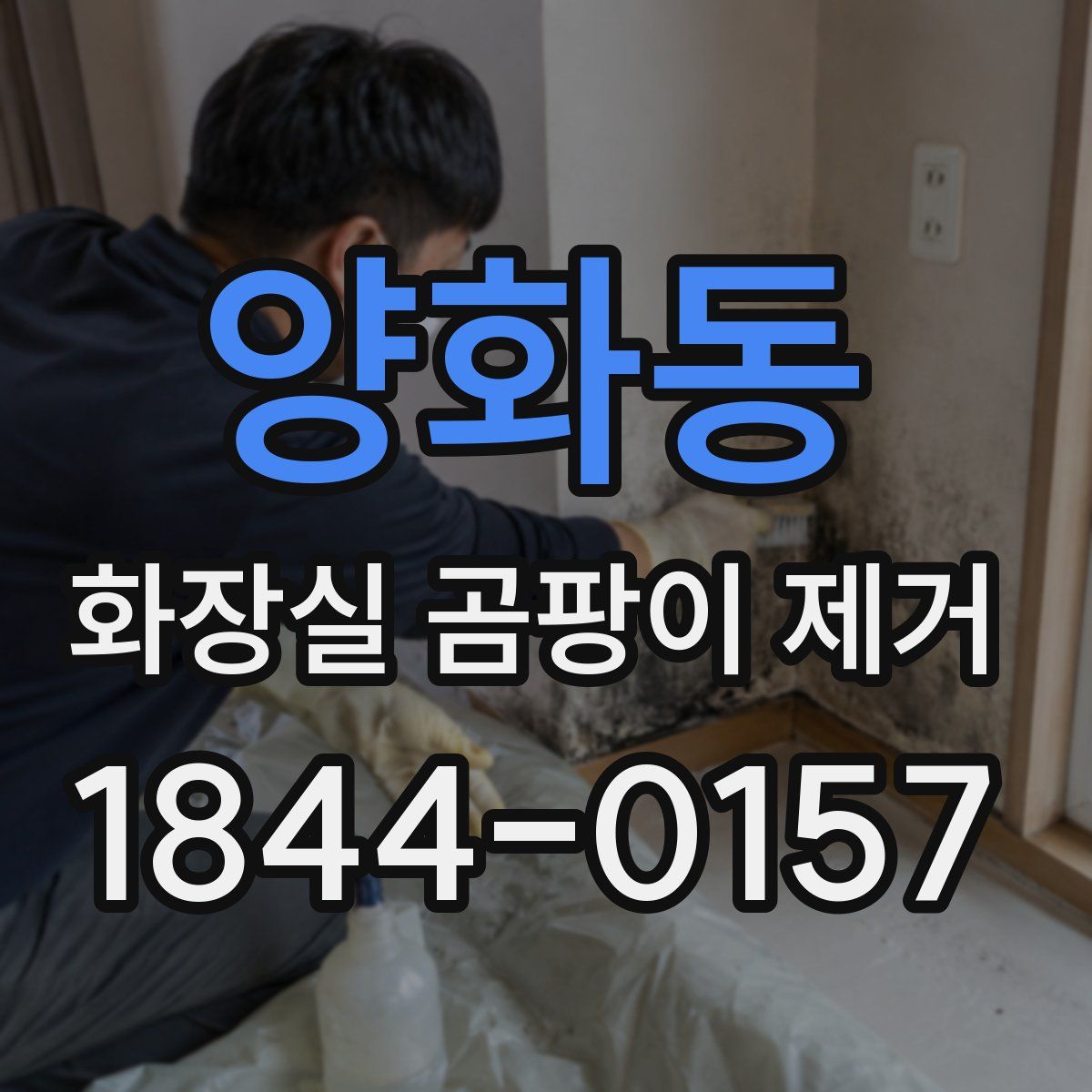 양화동 화장실 곰팡이 제거