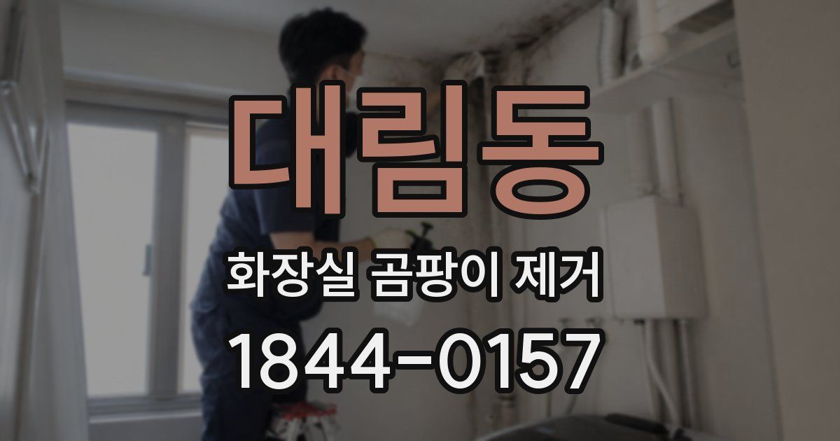 대림동 화장실 곰팡이 제거