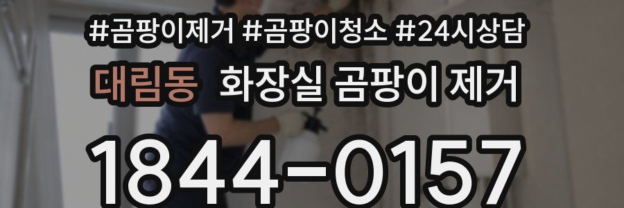 대림동 화장실 곰팡이 제거