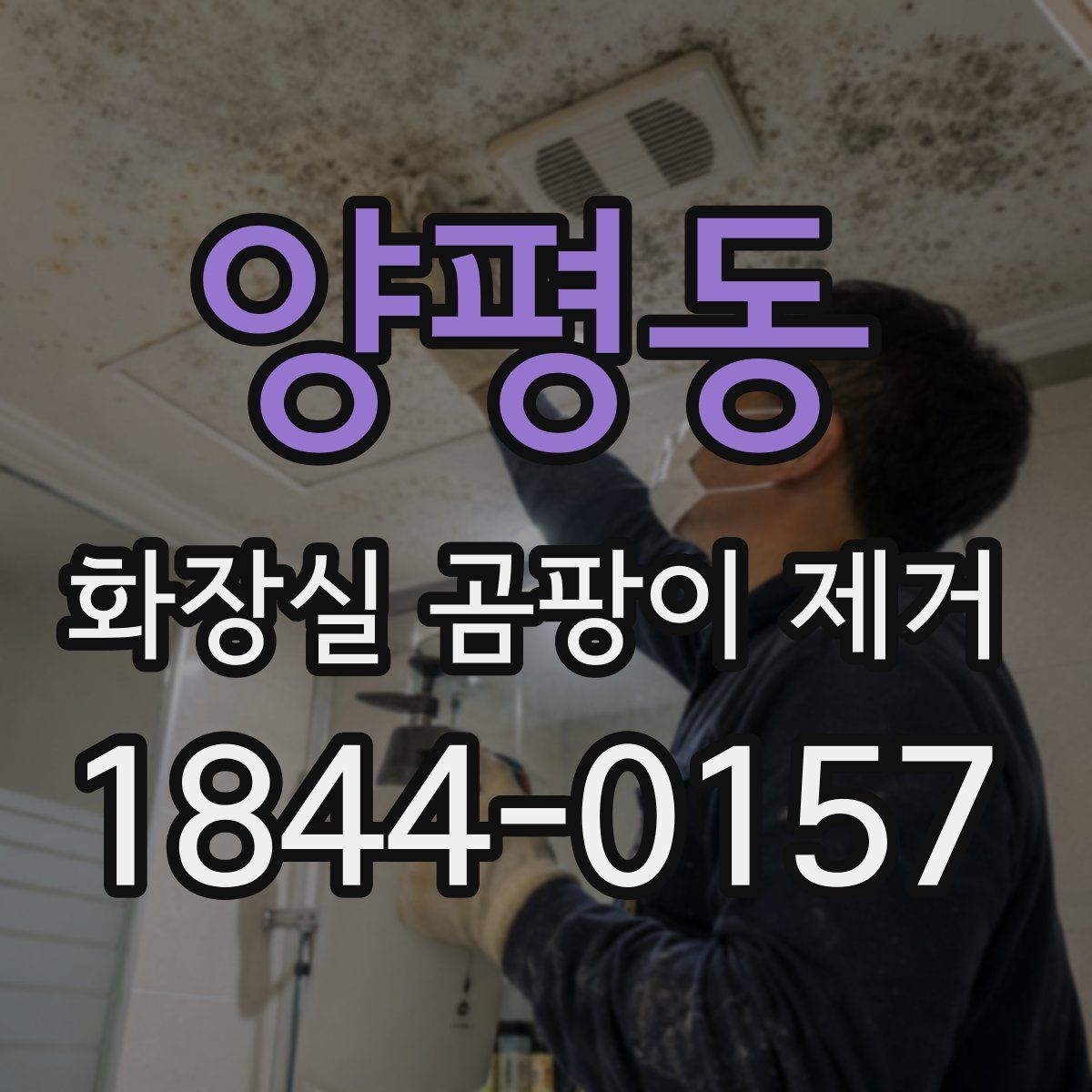 양평동 화장실 곰팡이 제거
