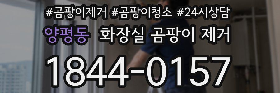 양평동 화장실 곰팡이 제거