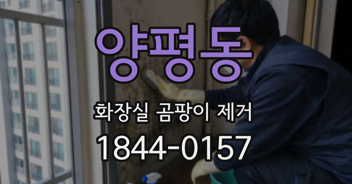 양평동 화장실 곰팡이 제거