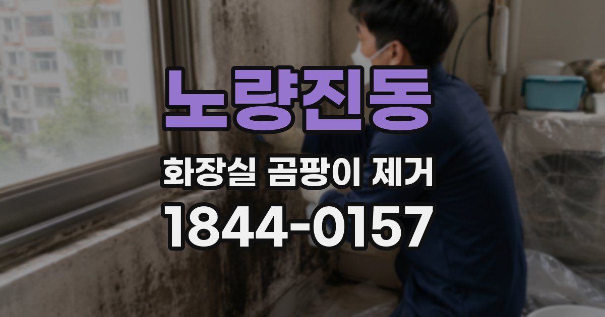 노량진동 화장실 곰팡이 제거