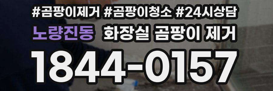 노량진동 화장실 곰팡이 제거