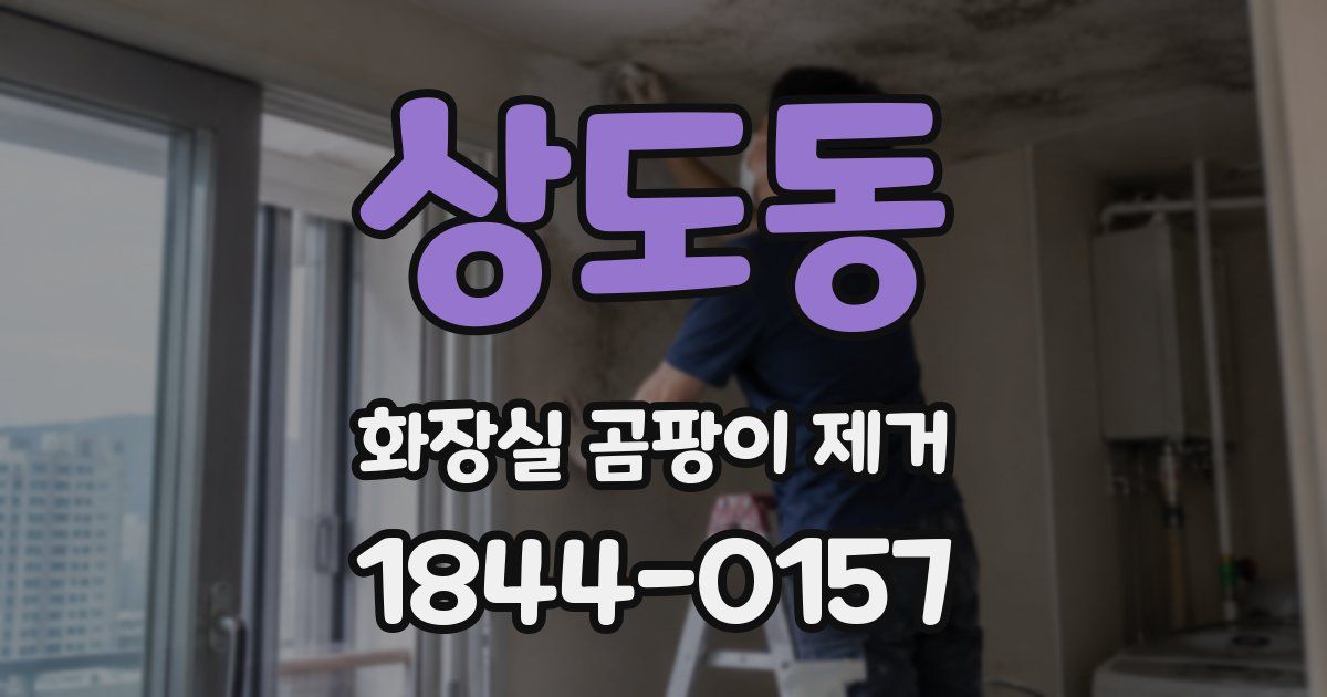상도동 화장실 곰팡이 제거
