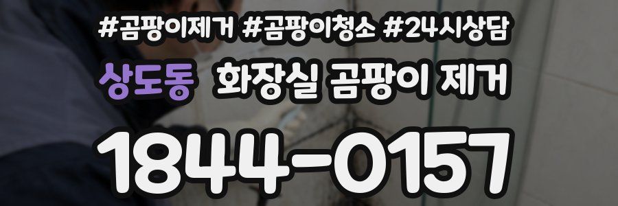 상도동 화장실 곰팡이 제거