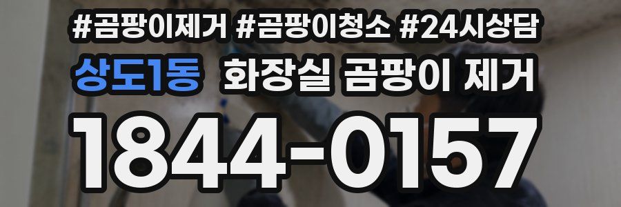 상도1동 화장실 곰팡이 제거
