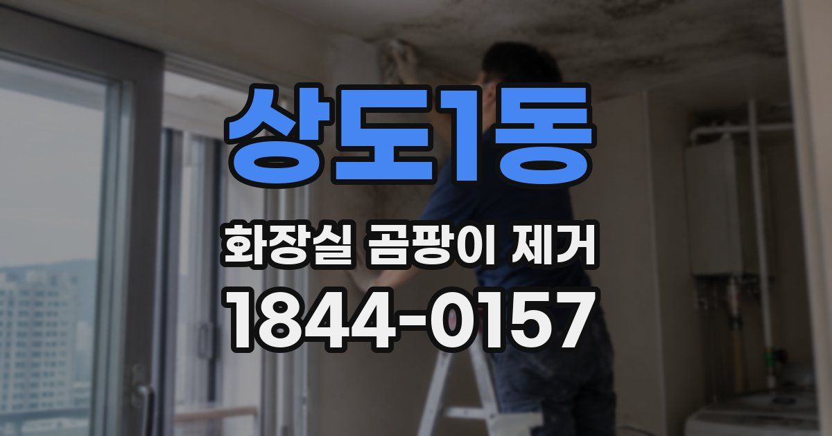 상도1동 화장실 곰팡이 제거