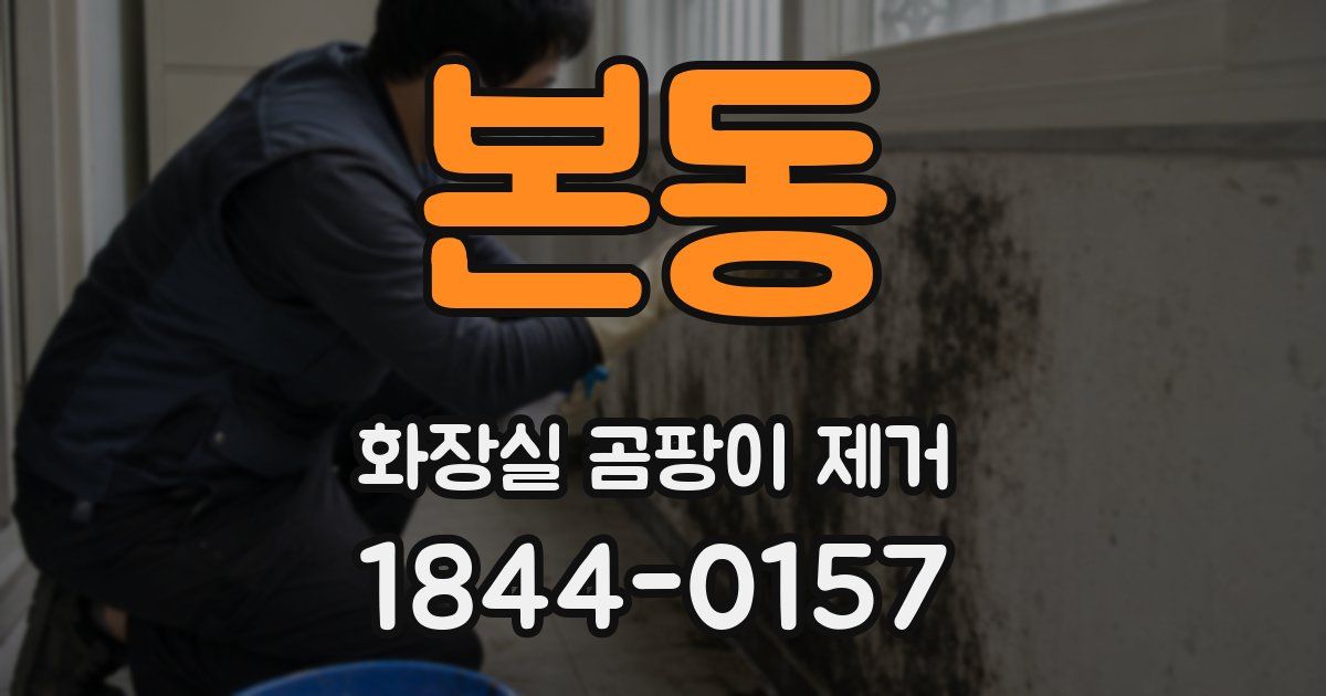 본동 화장실 곰팡이 제거