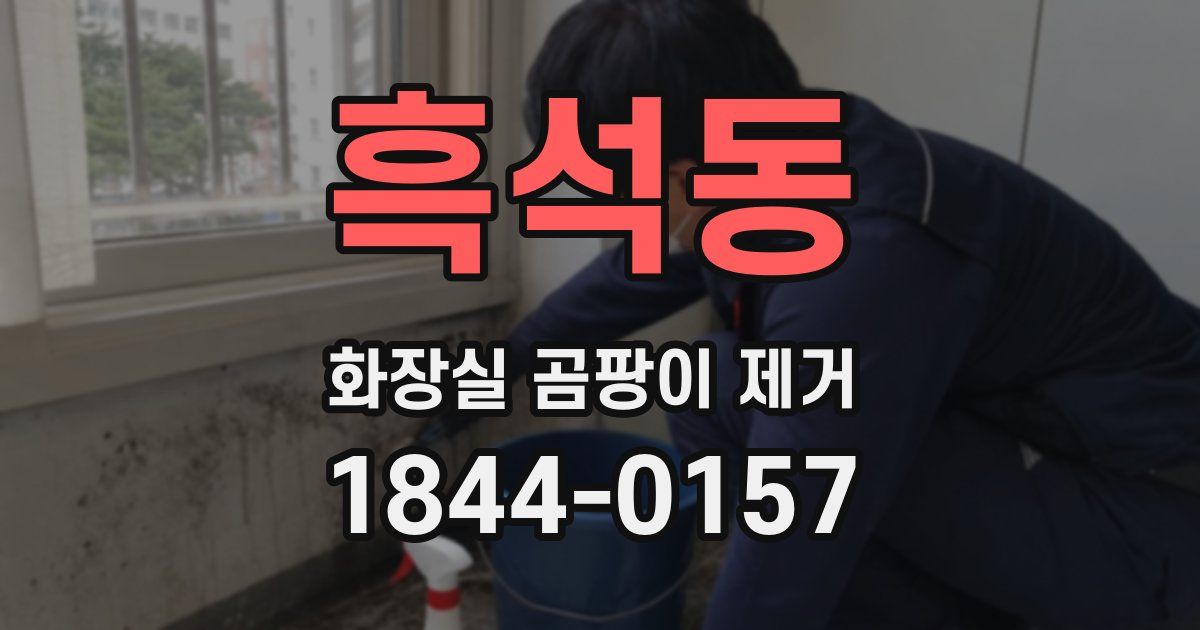 흑석동 화장실 곰팡이 제거