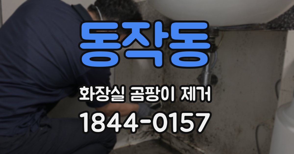 동작동 화장실 곰팡이 제거