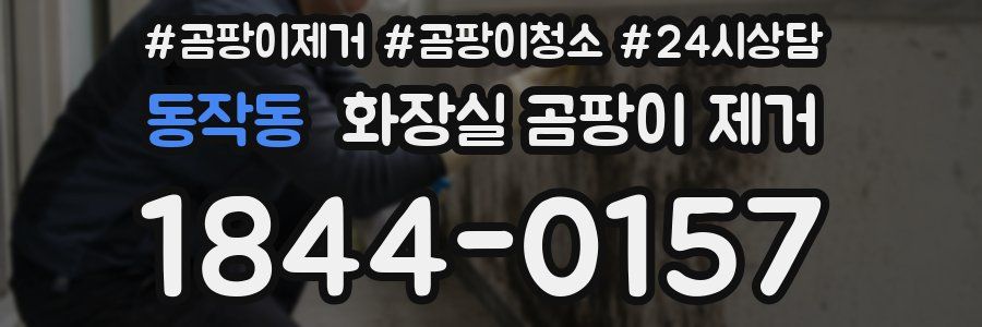 동작동 화장실 곰팡이 제거