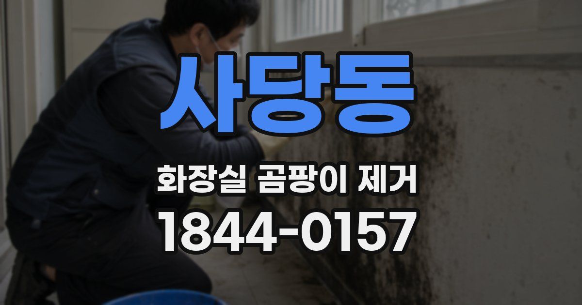 사당동 화장실 곰팡이 제거