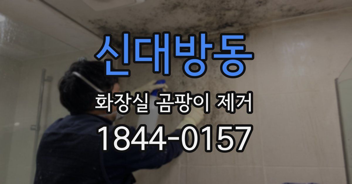 신대방동 화장실 곰팡이 제거
