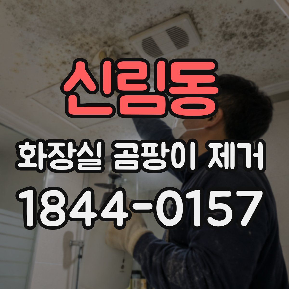 신림동 화장실 곰팡이 제거