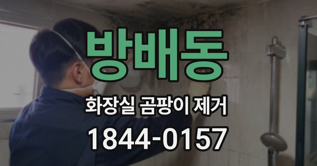 방배동 화장실 곰팡이 제거