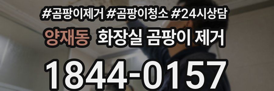 양재동 화장실 곰팡이 제거
