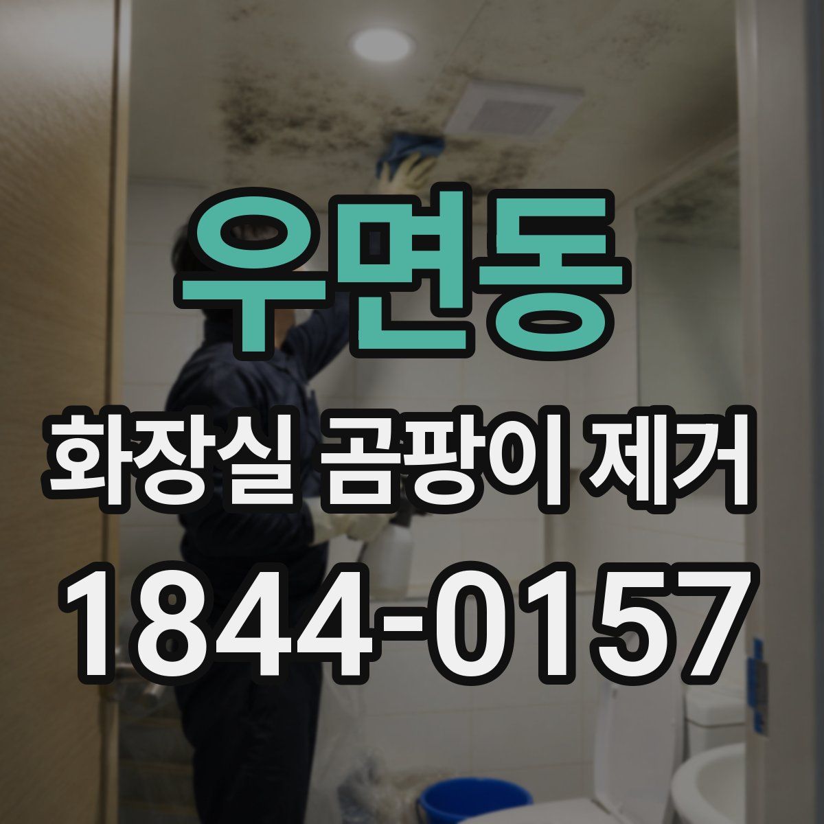 우면동 화장실 곰팡이 제거