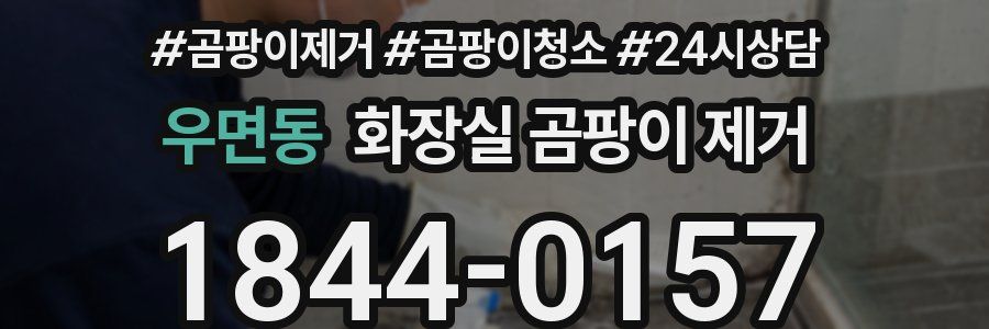 우면동 화장실 곰팡이 제거