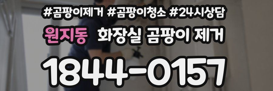 원지동 화장실 곰팡이 제거