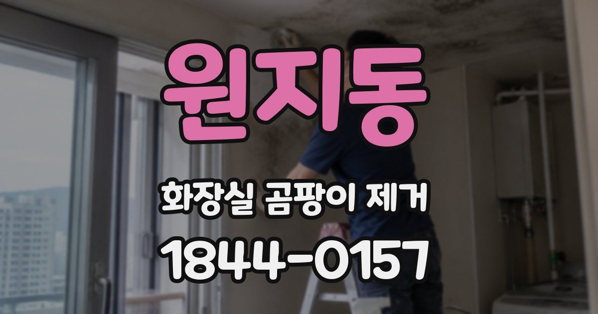 원지동 화장실 곰팡이 제거