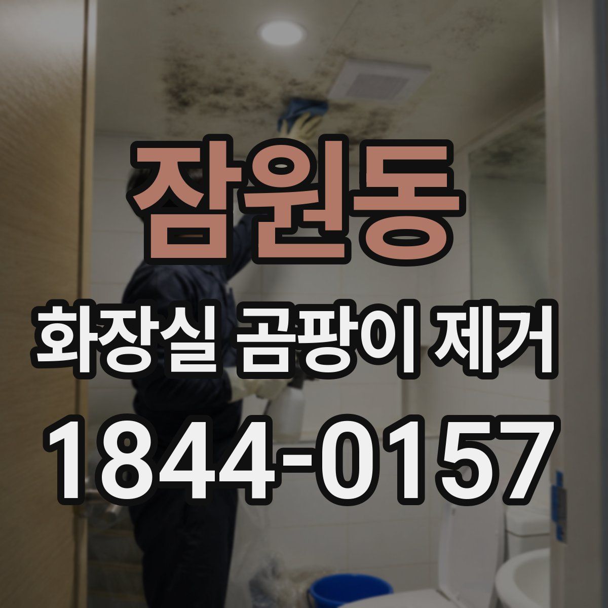 잠원동 화장실 곰팡이 제거