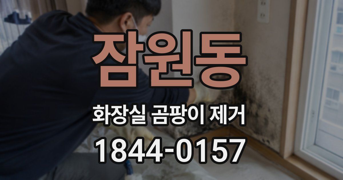 잠원동 화장실 곰팡이 제거