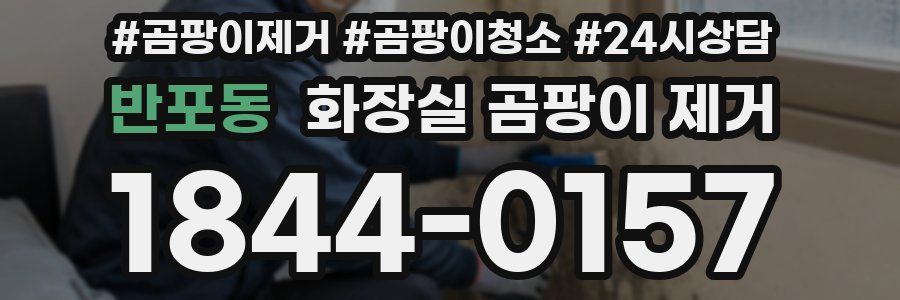 반포동 화장실 곰팡이 제거