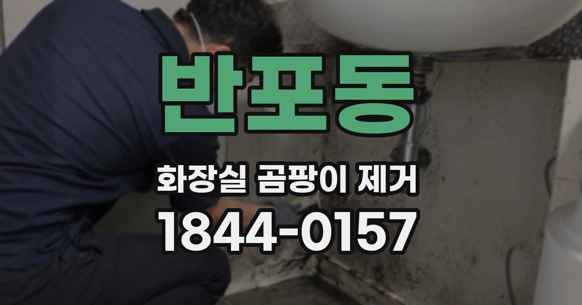 반포동 화장실 곰팡이 제거