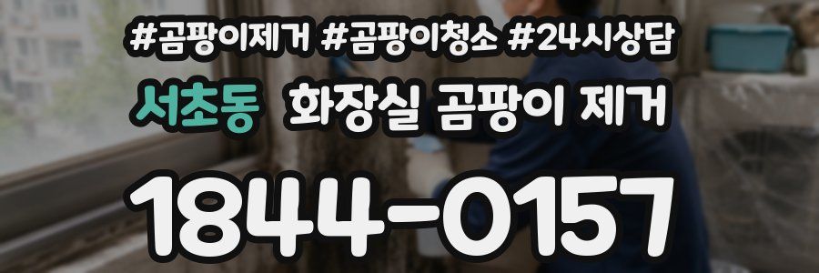 서초동 화장실 곰팡이 제거