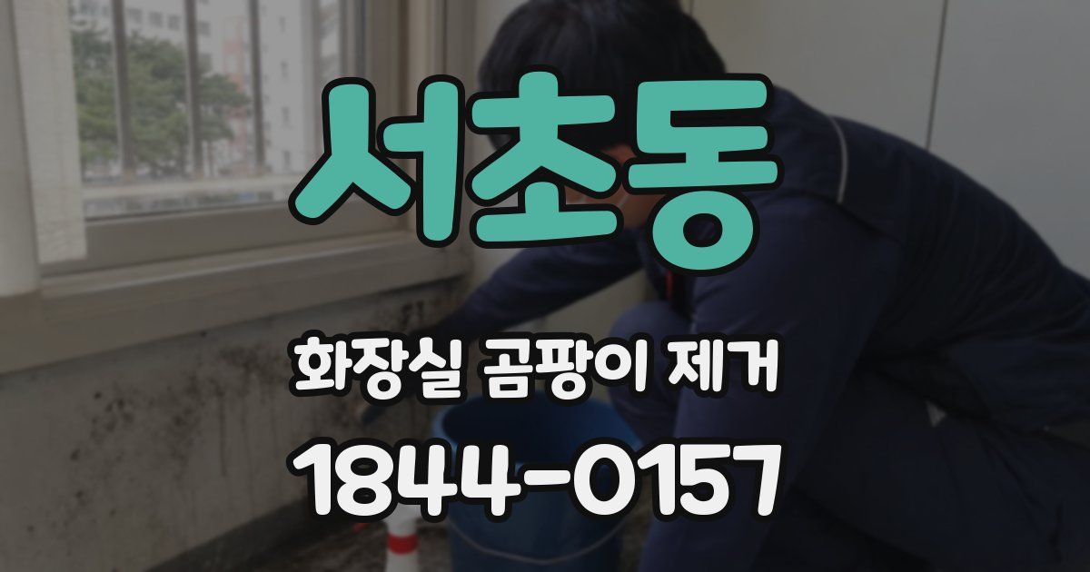 서초동 화장실 곰팡이 제거