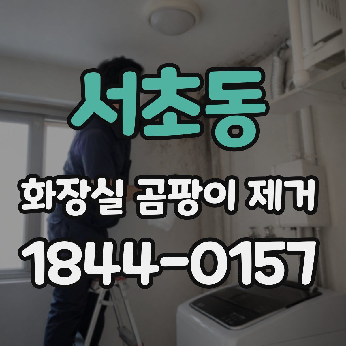 서초동 화장실 곰팡이 제거
