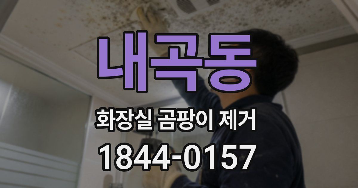 내곡동 화장실 곰팡이 제거