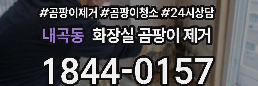 내곡동 화장실 곰팡이 제거