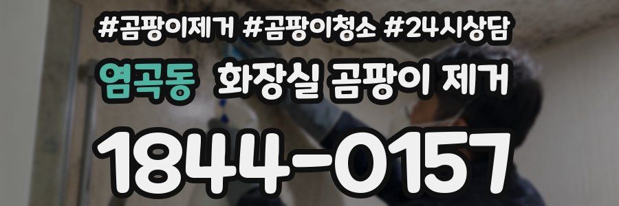 염곡동 화장실 곰팡이 제거