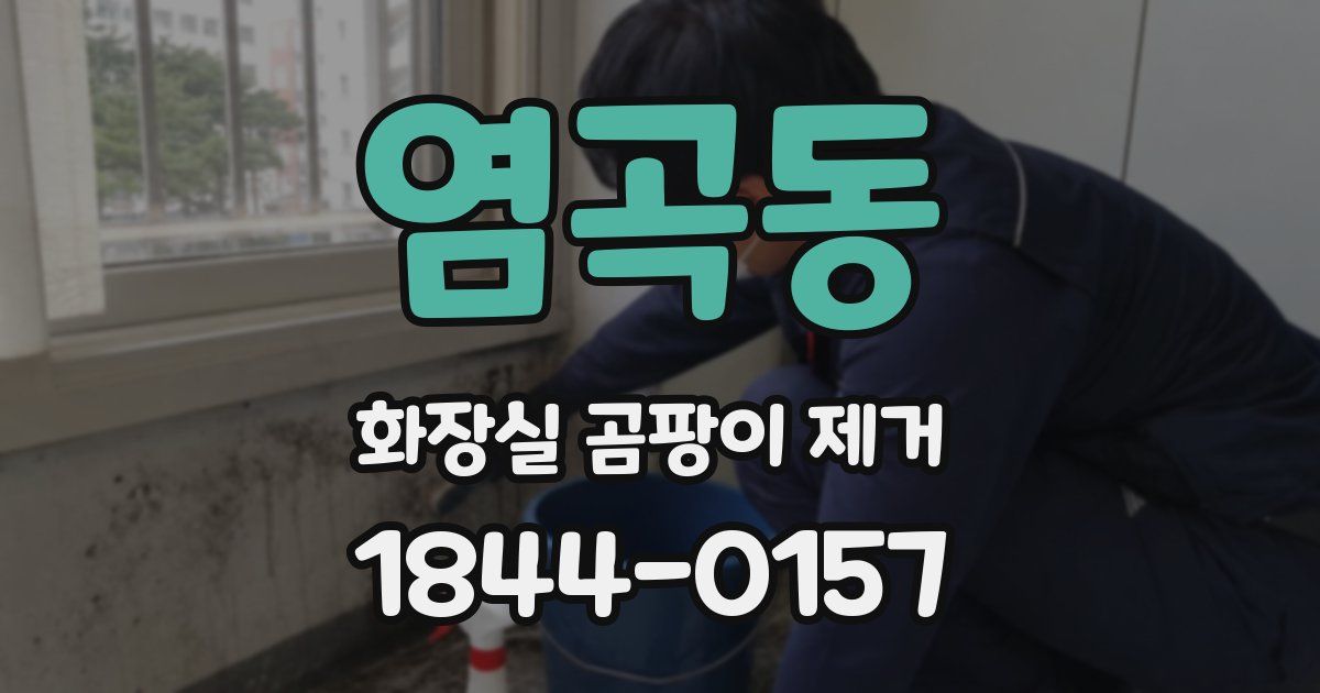 염곡동 화장실 곰팡이 제거
