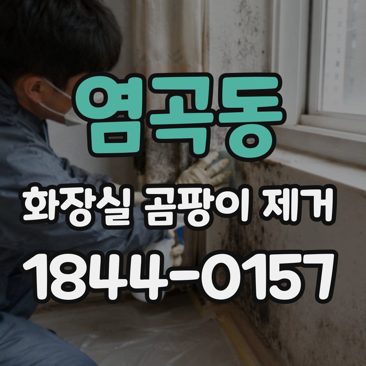염곡동 화장실 곰팡이 제거