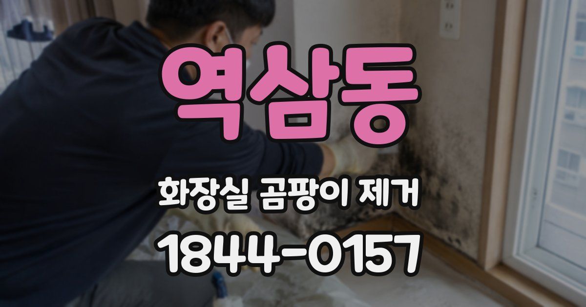 역삼동 화장실 곰팡이 제거