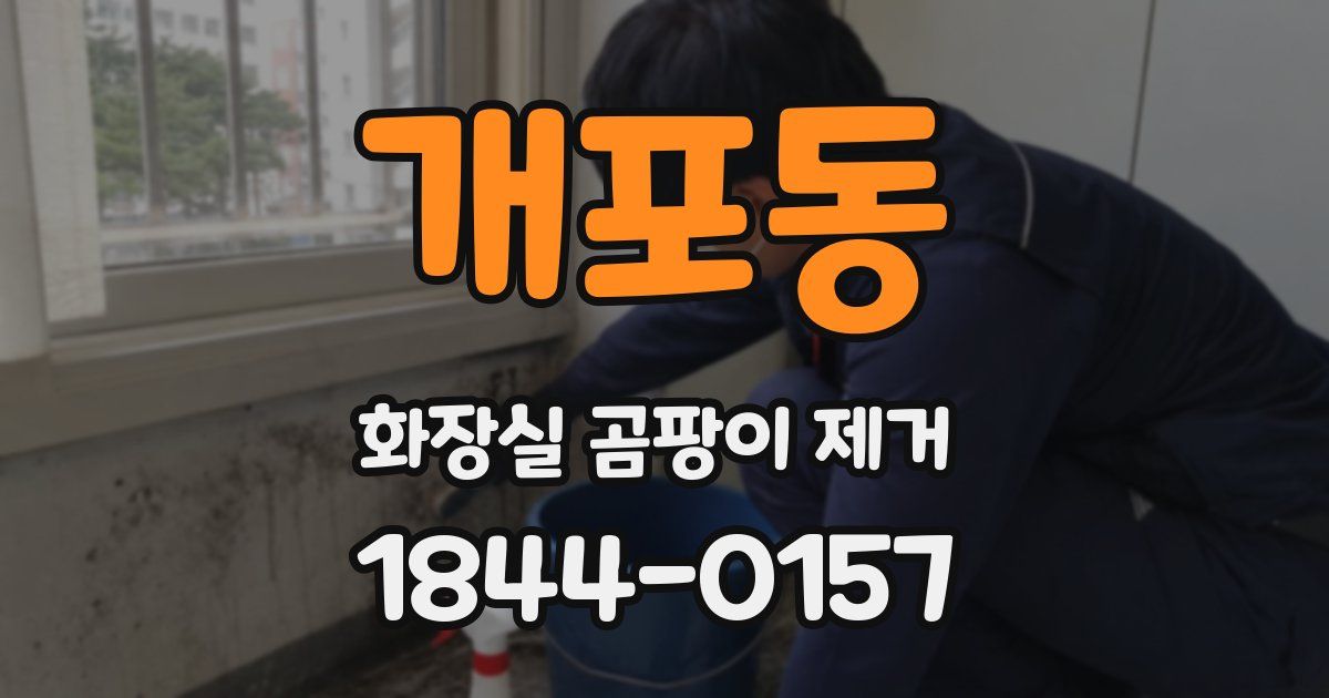 개포동 화장실 곰팡이 제거