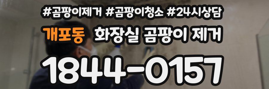 개포동 화장실 곰팡이 제거