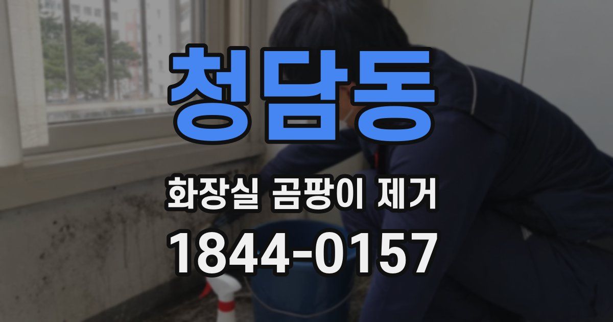 청담동 화장실 곰팡이 제거