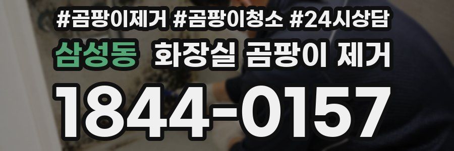 삼성동 화장실 곰팡이 제거