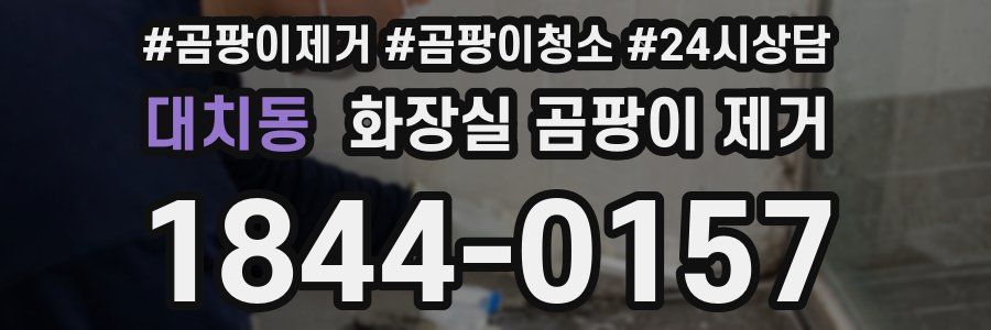 대치동 화장실 곰팡이 제거